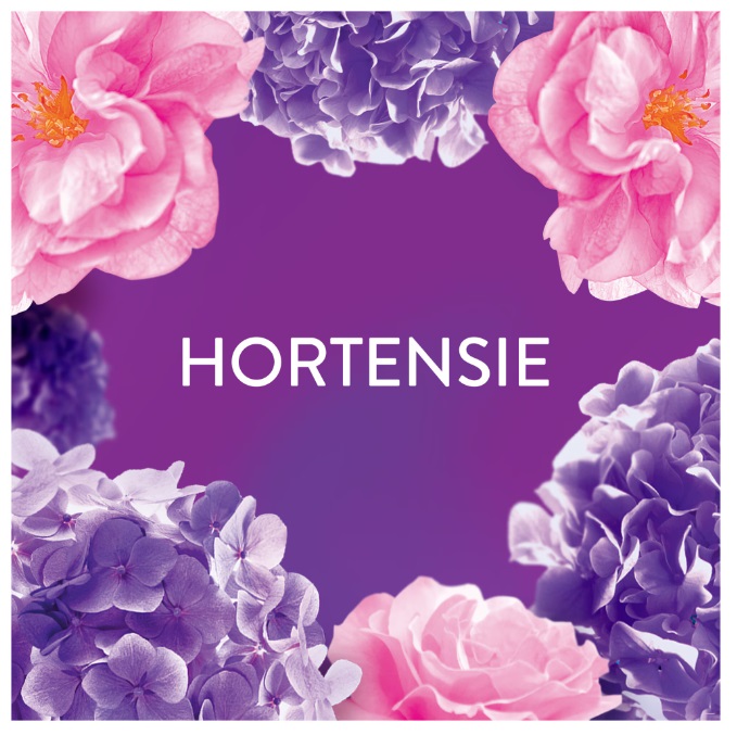 Lenor Fragrance Therapy Floral Bouquet płyn do płukania 82 prania 1,722L koncentrat DE olejki perfumowane - Sklep i hurtownia FH German