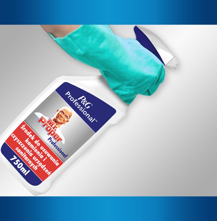 Mr. Proper Professional Spray do łazienki 800ml środek do usuwania kamienia i czyszczenia urządzeń sanitarnych - Sklep i hurtownia FH German